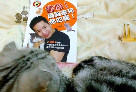 【貓咪版謠言追追追】FIP治得好嗎？古道醫生告訴你